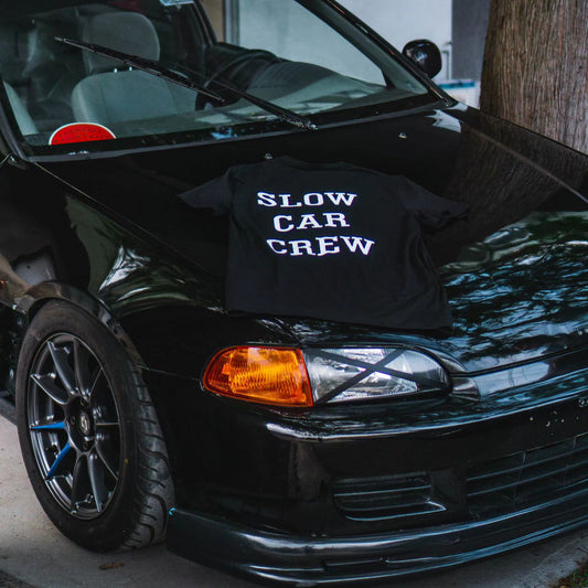 Дино Дей 03.12.2023