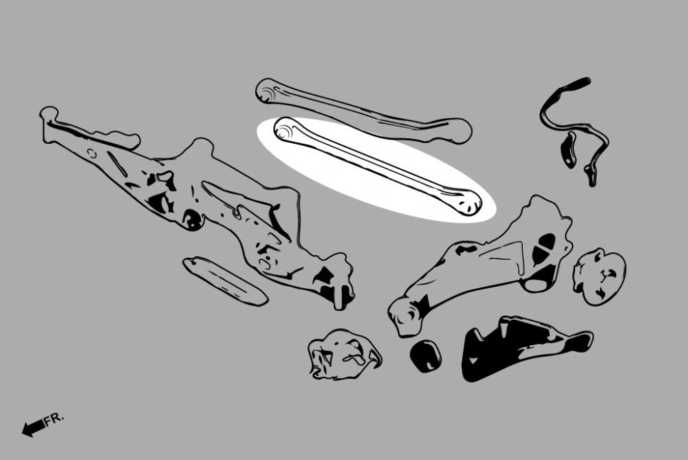 Rear Lower Arm Mini Cabrio 3rd F57 2016-2024